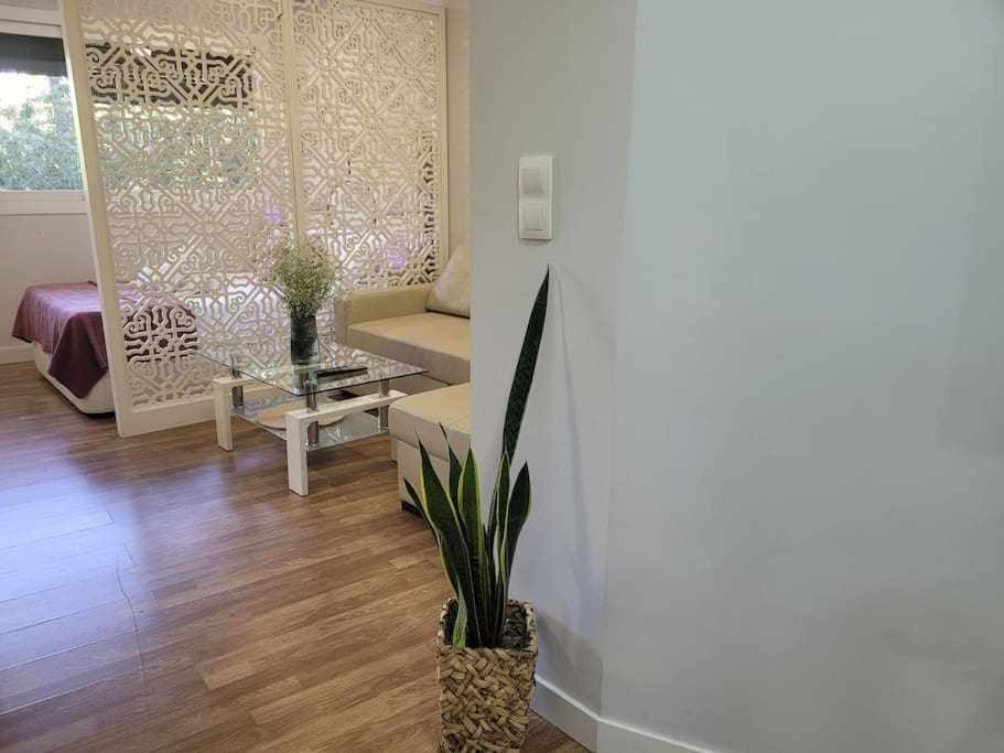 Apartamento Lirio De Agua Granada Centro Apartment Exterior foto